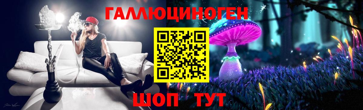 Псилоцибиновые грибы прущие грибы  Вход с VPN  где найти   Шадринск 